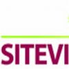 Логотип Sitevi 2018