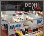 Delhiwood 2021 фото