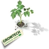 Логотип Growtech Eurasia 2018