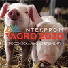 Логотип INTEKPROM AGRO 2020