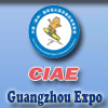 Логотип China International Game & Amusement Exhibition 2021