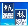 Логотип China Paper  2021