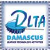 Логотип DLTA 2021