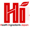 Логотип HI Japan 2021