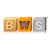 Логотип BWS 2021
