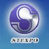 Логотип Stexpo 2021